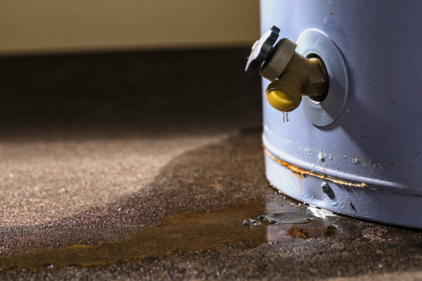 Best Water damage mitigation services  in Rancho Murieta, CA