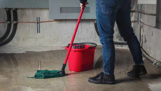 Best Basement water damage restoration  in Rancho Murieta, CA