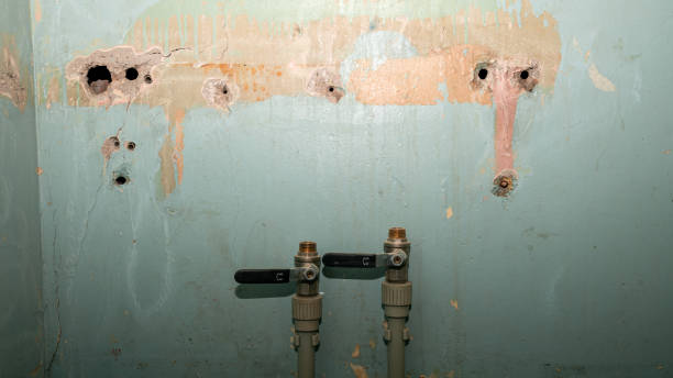 Best Water damage cleanup near me  in Rancho Murieta, CA