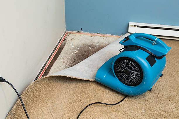 Best Fire Damage Restoration  in Rancho Murieta, CA